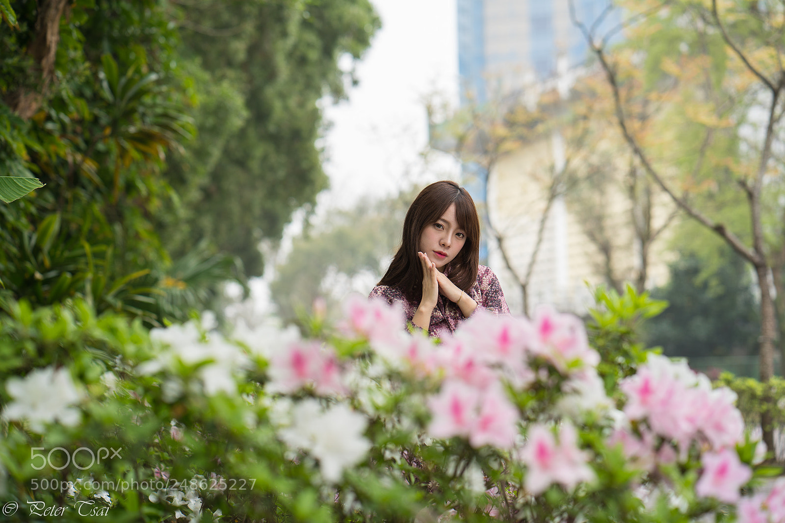 Sony a7R III sample photo. 林若恩 photography