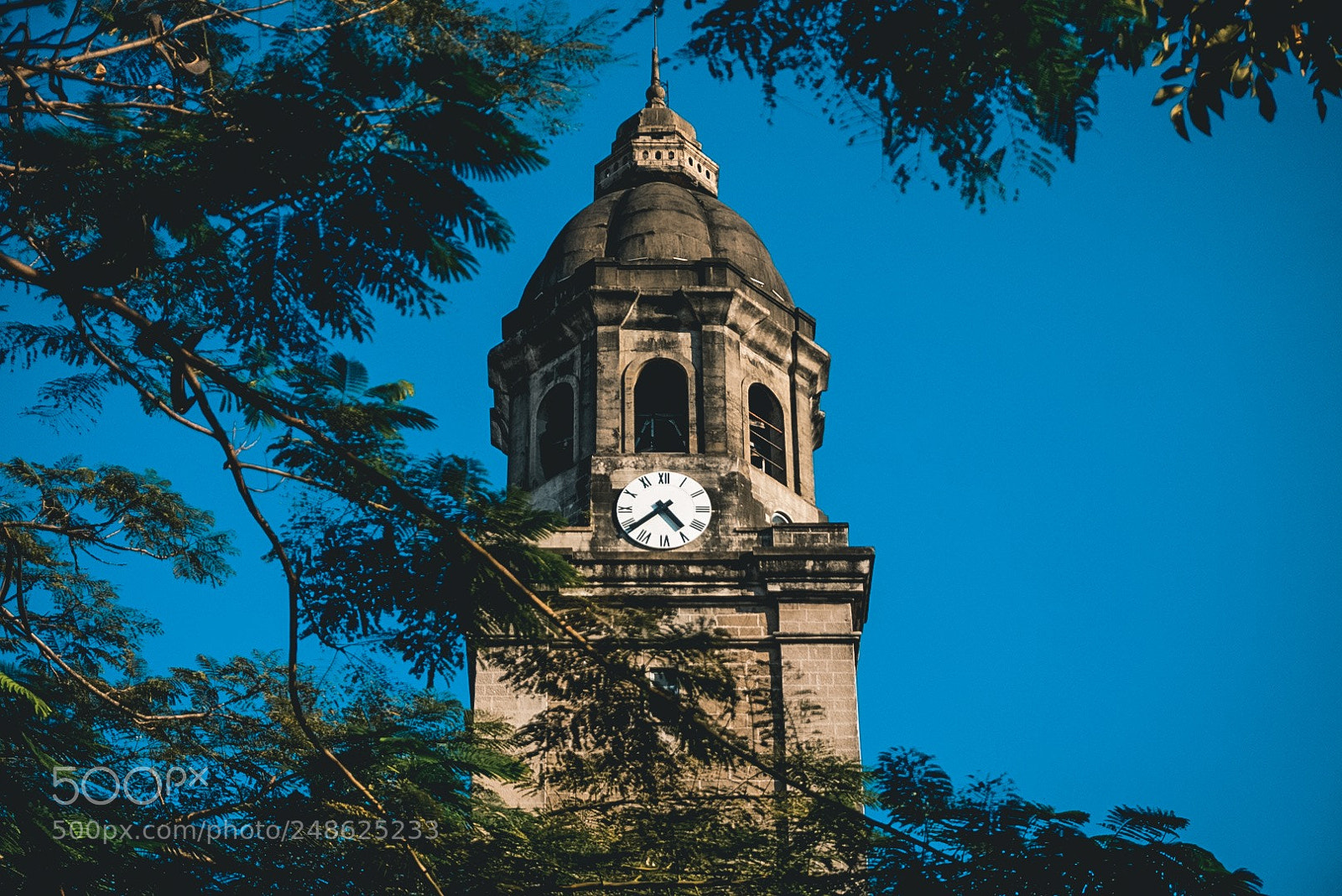 Sony a6000 sample photo. Timeless beauty photography