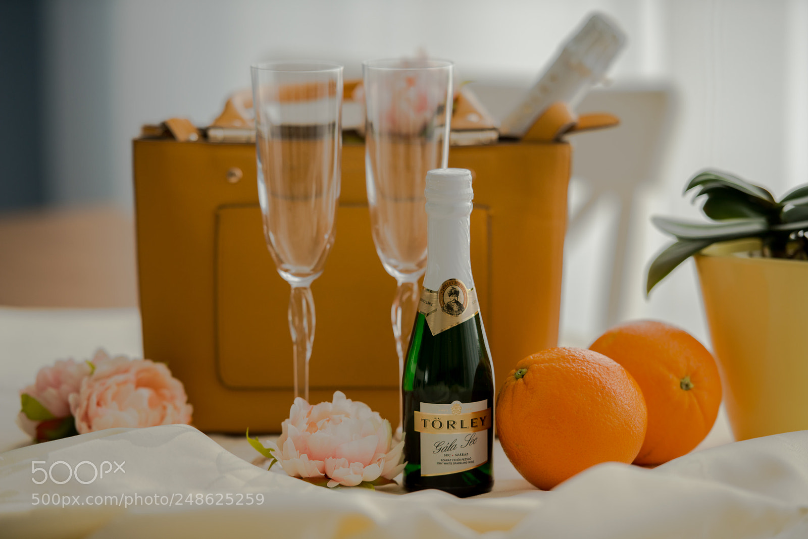 Nikon D800 sample photo. Törley 2 photography