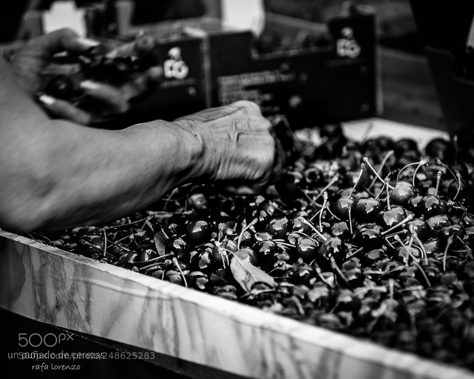 Nikon D810 sample photo. Un pu ado de photography