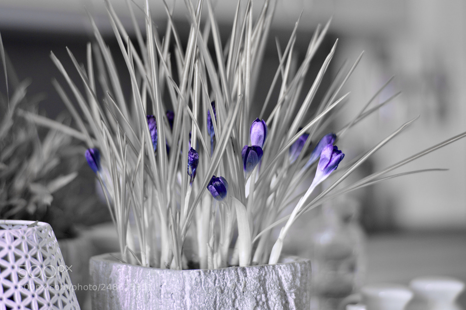 Nikon D3200 sample photo. Fullsizeoutput photography