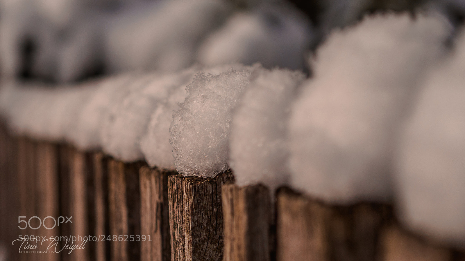 Olympus OM-D E-M10 II sample photo. Gartenzaun photography