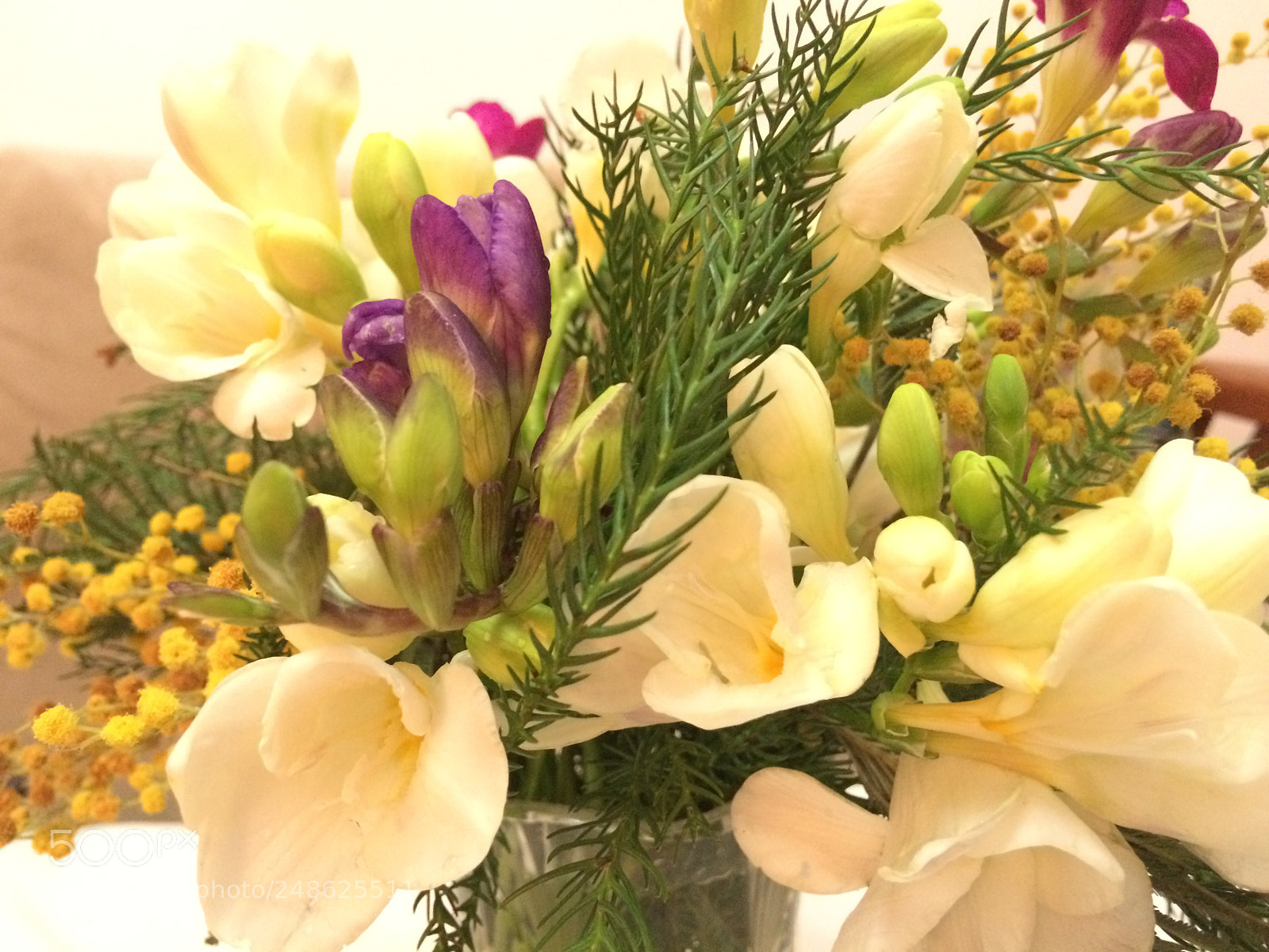 Apple iPhone 5s sample photo. Happy international women's day :) photography