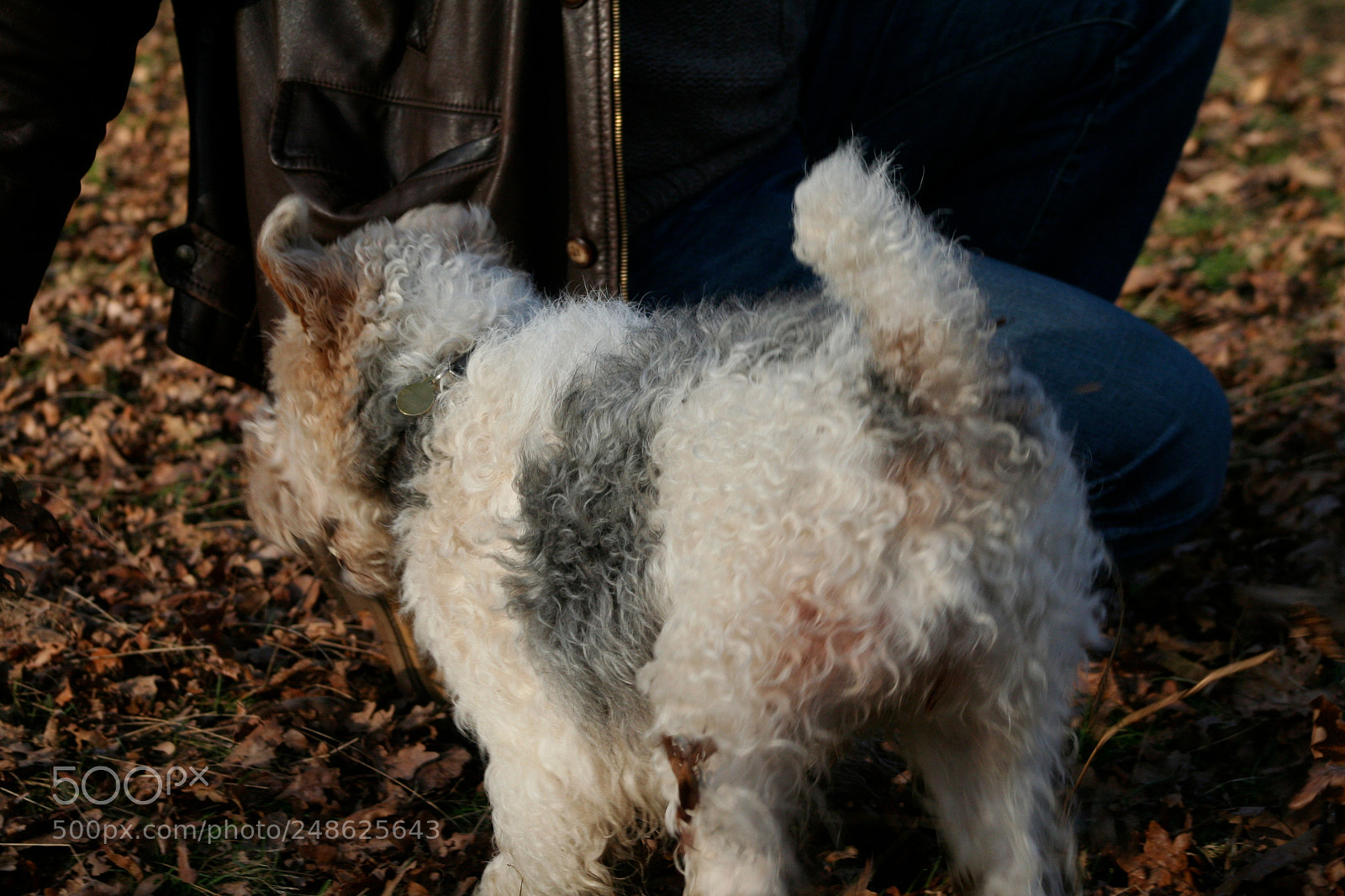 Canon EOS 350D (EOS Digital Rebel XT / EOS Kiss Digital N) sample photo. Img o photography
