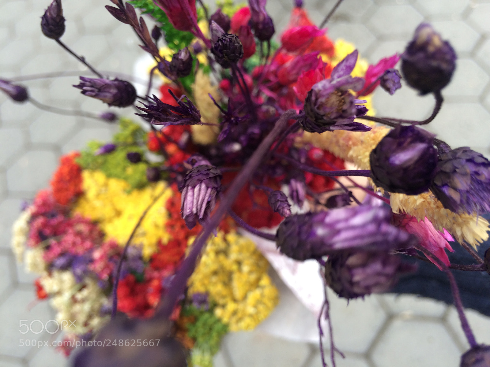 Apple iPhone 5s sample photo. Flowers photography
