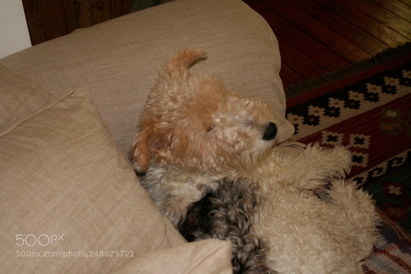 Canon EOS 350D (EOS Digital Rebel XT / EOS Kiss Digital N) sample photo. Img o photography