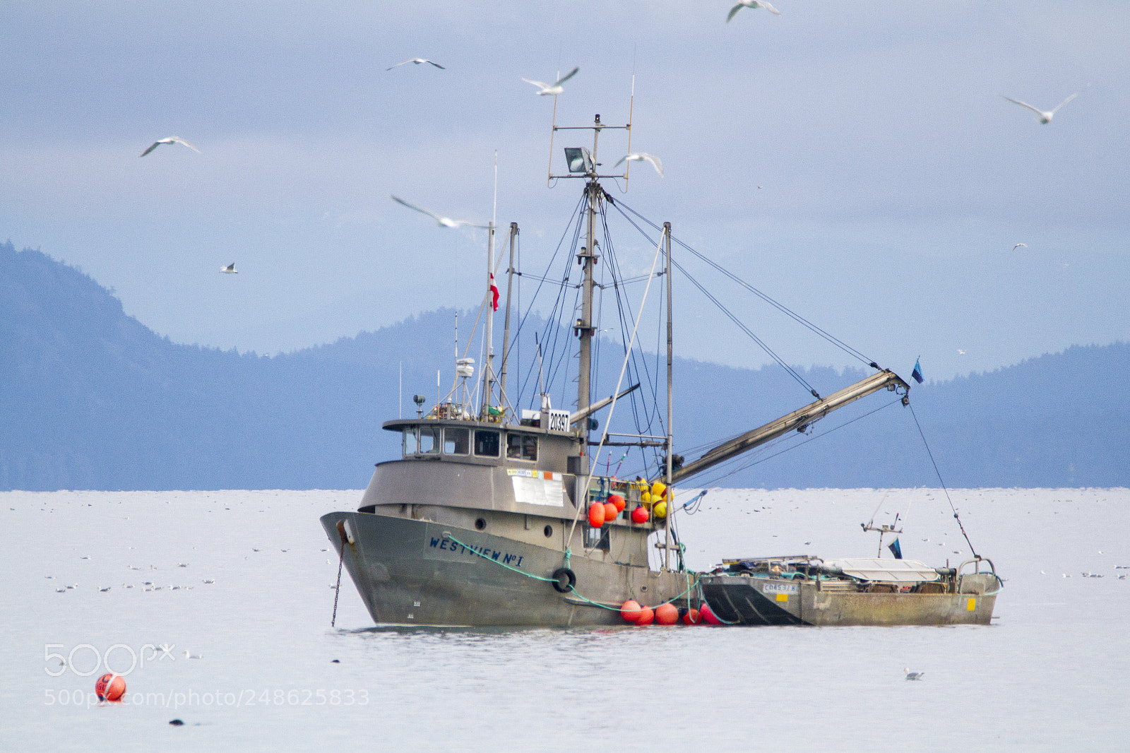 Canon EOS 7D sample photo. The herring grounds photography