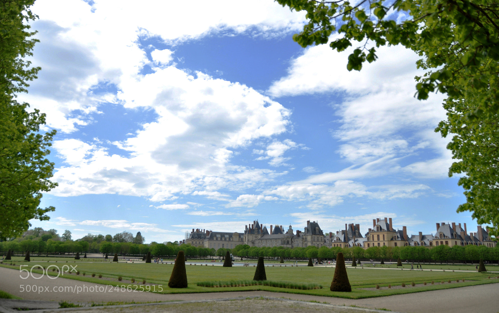 Nikon D5000 sample photo. Endless sky photography