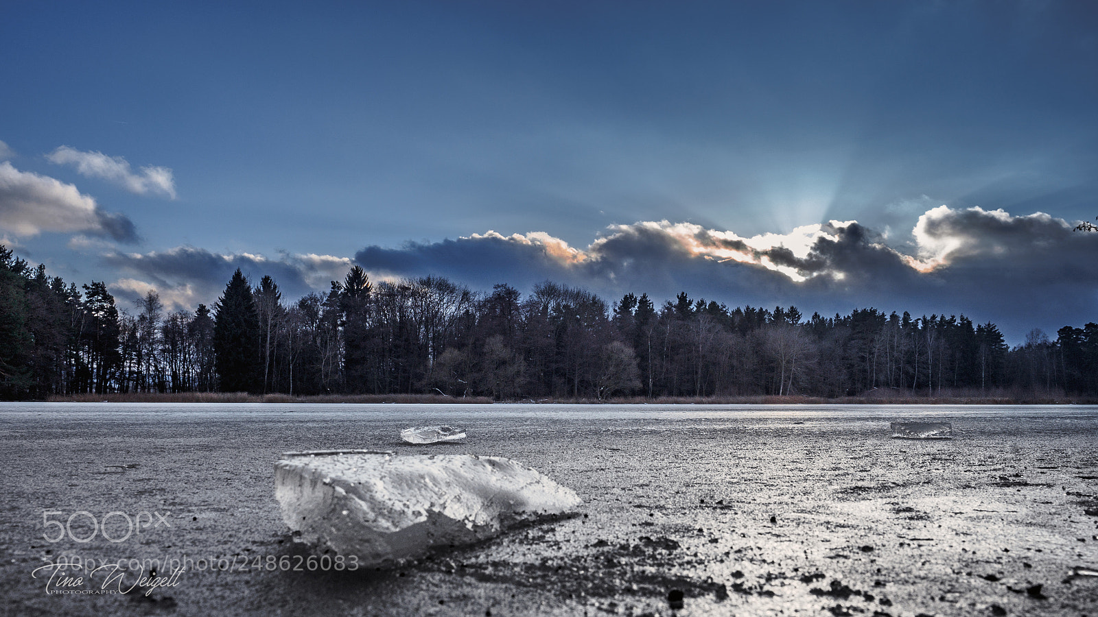 Olympus OM-D E-M10 II sample photo. Eissee photography