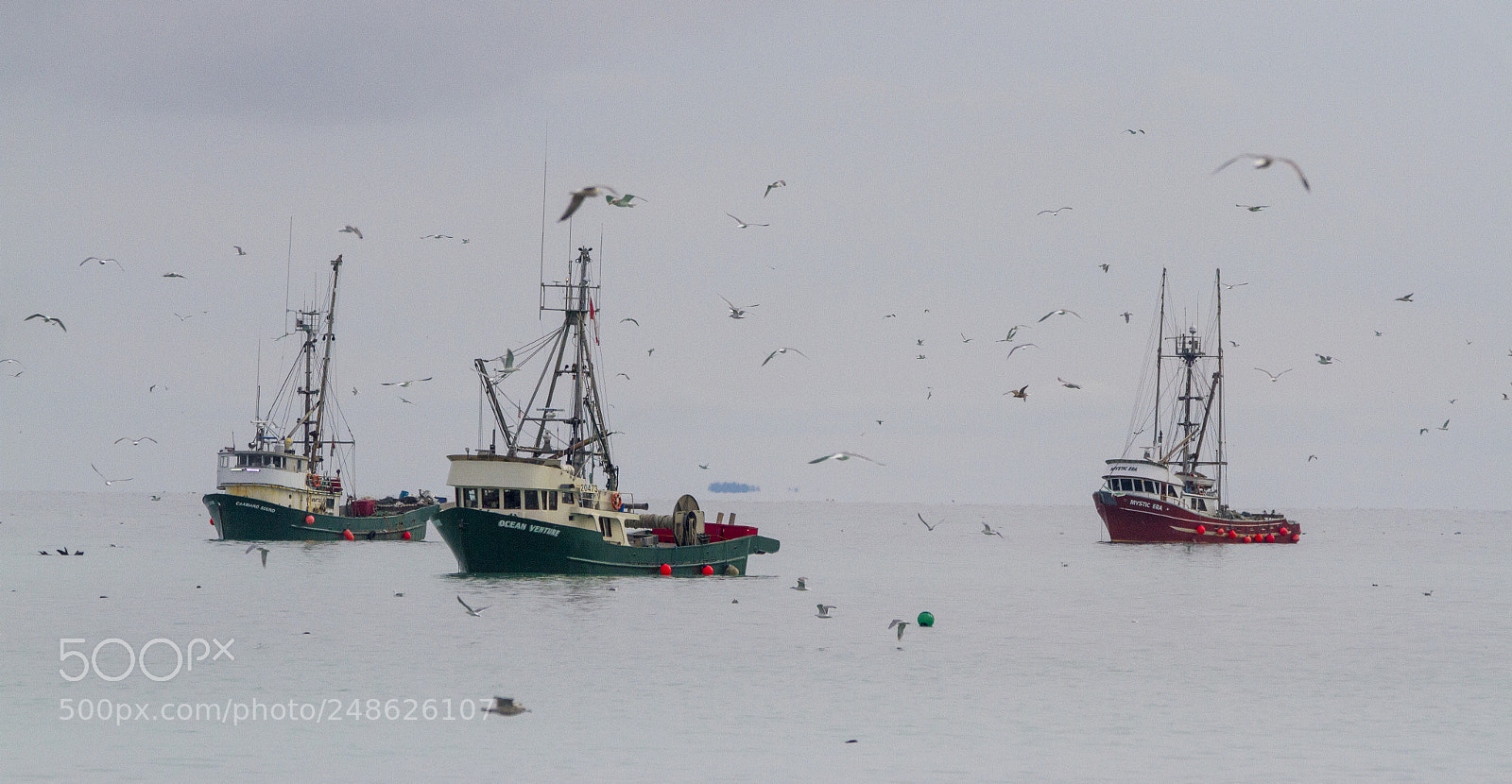 Canon EOS 7D sample photo. The herring grounds photography