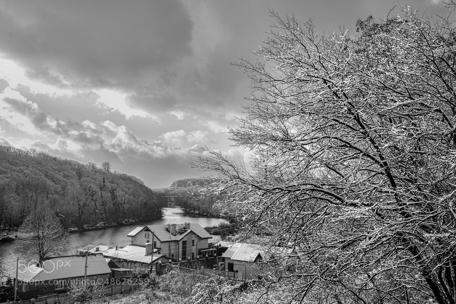 Nikon D800E sample photo. Winter b/w photography