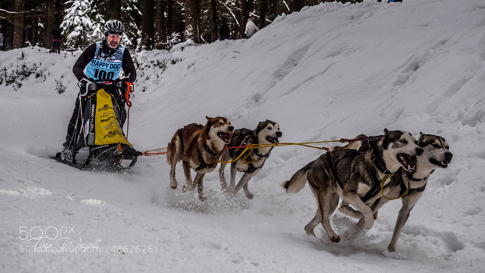 Olympus OM-D E-M10 II sample photo. Schlittenhunderennen photography