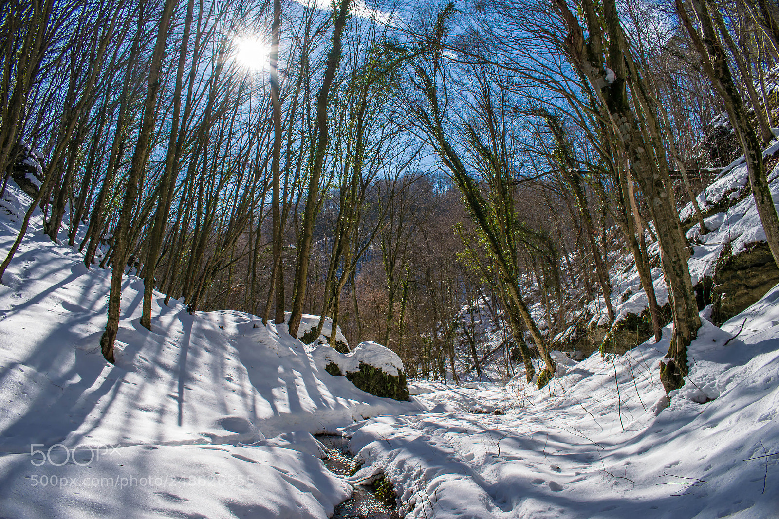 Nikon D5300 sample photo. Spring is around the photography