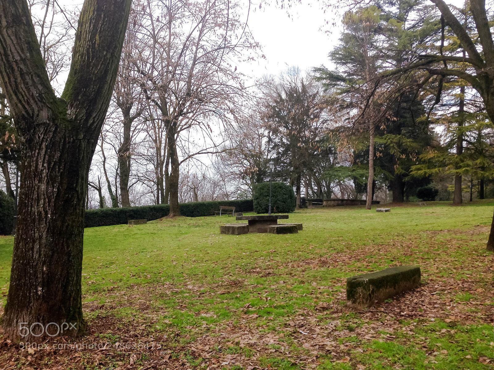 Apple iPhone 5 sample photo. Park in borghetto photography