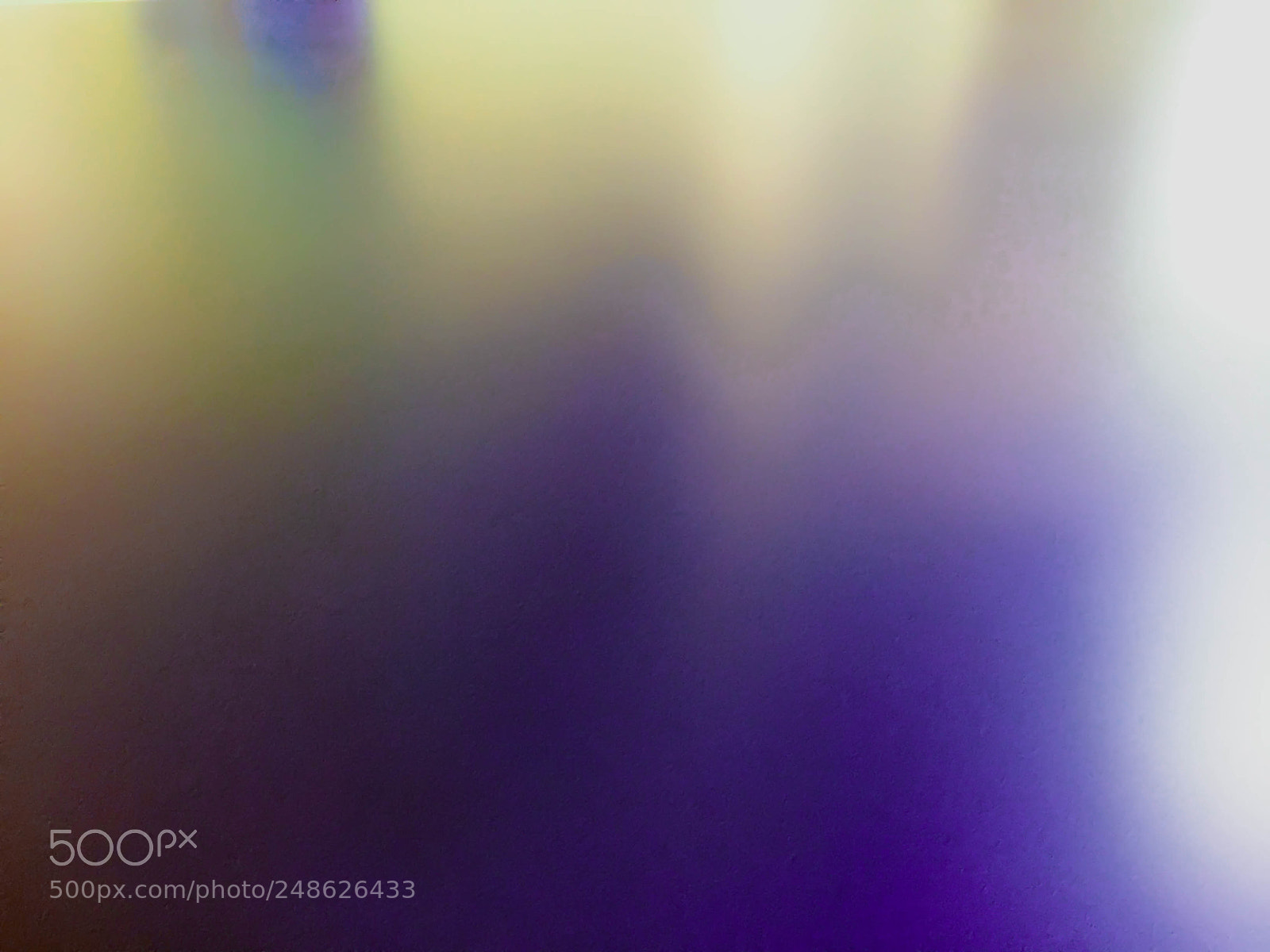 Apple iPhone 6 Plus sample photo. Colourful blue purple green photography