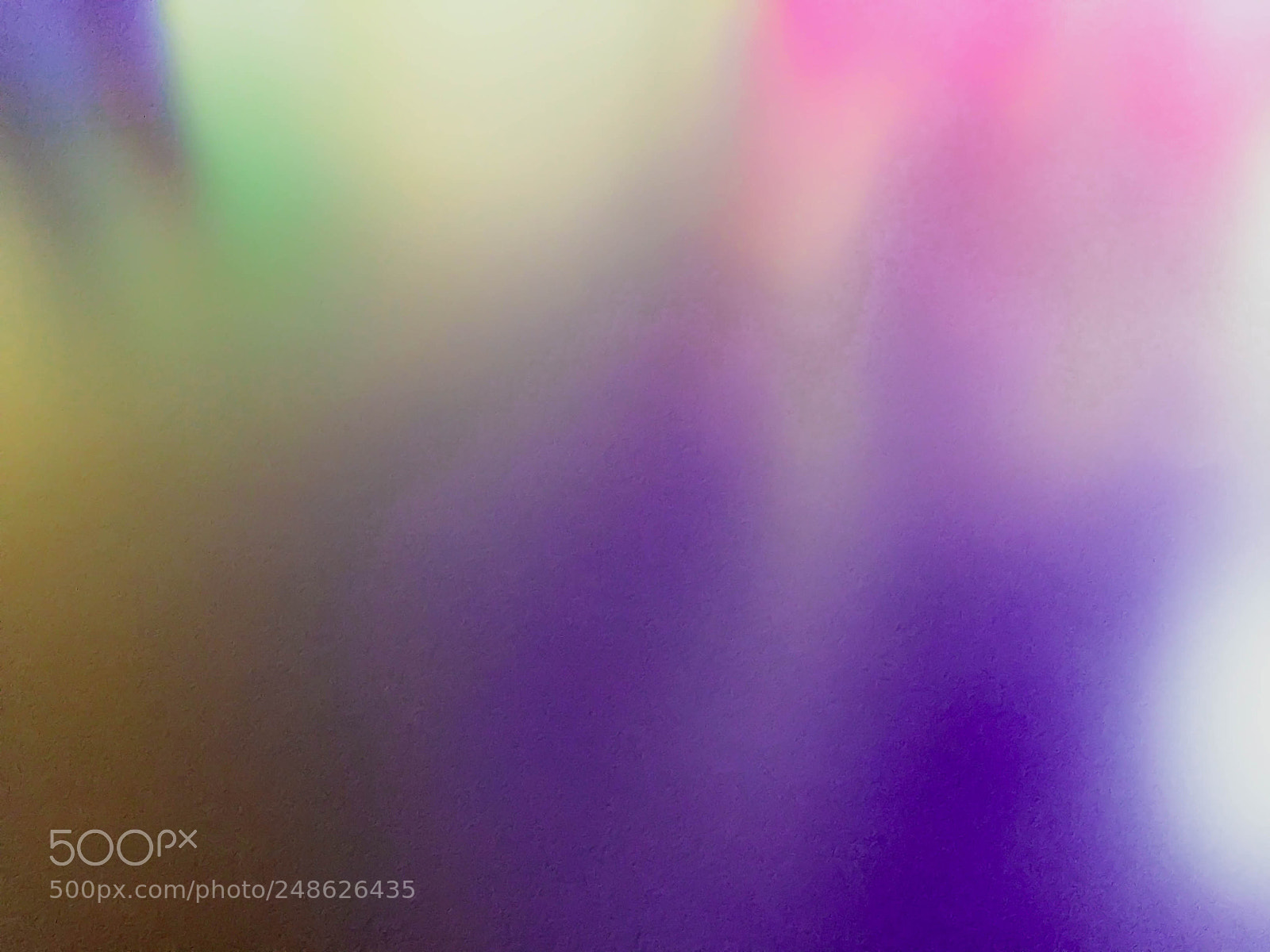 Apple iPhone 6 Plus sample photo. Colourful blue purple green photography