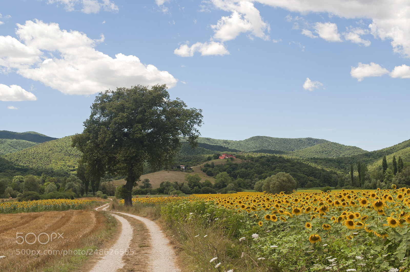 Nikon D700 sample photo. Landscape between lazio and photography