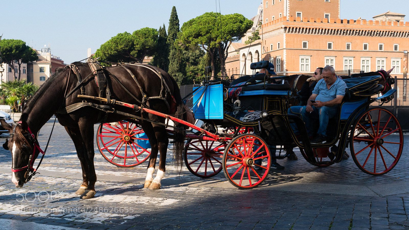 Sony a6500 sample photo. Horse and carriage, rome photography