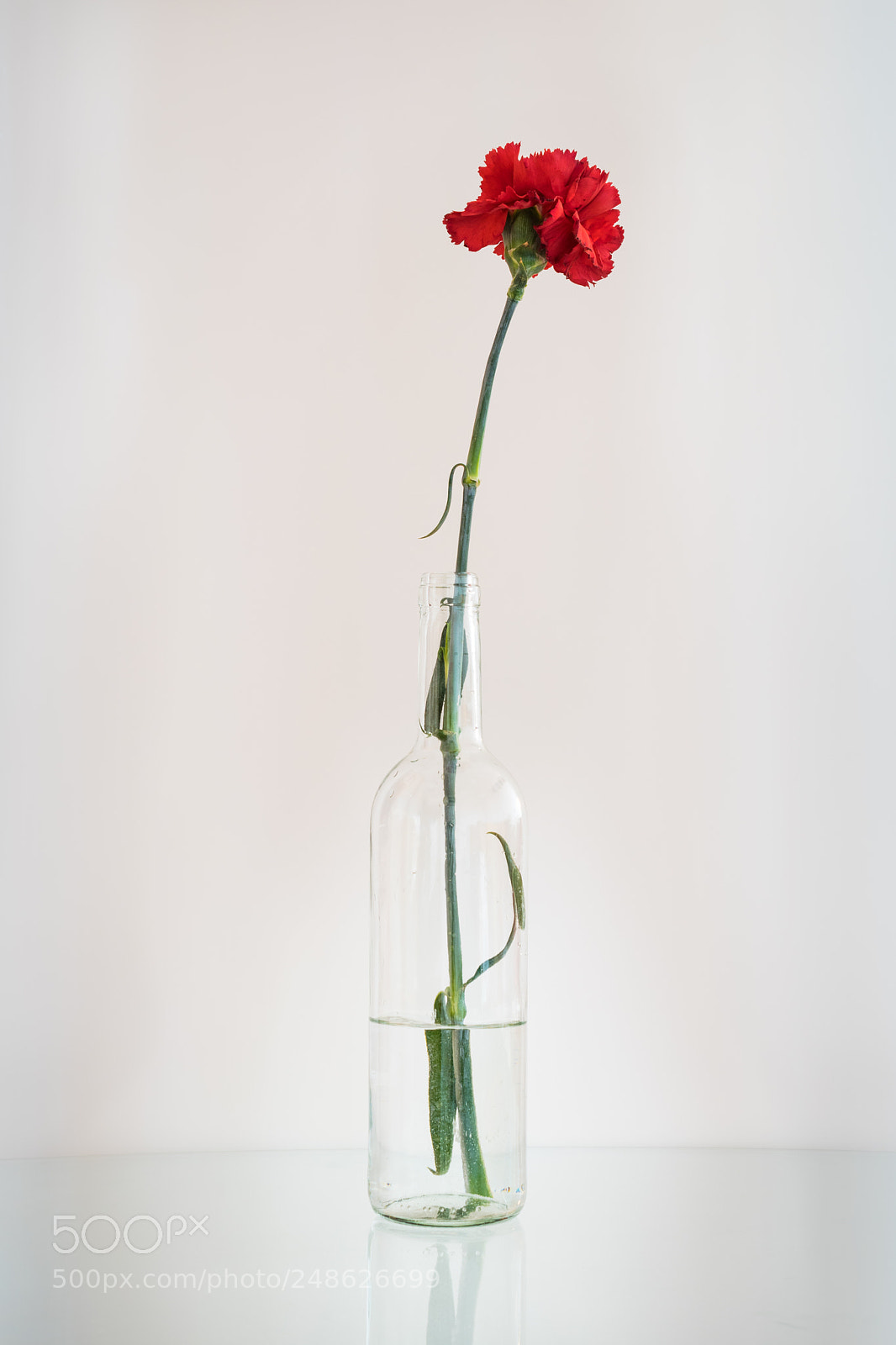 Nikon D5300 sample photo. Flower in a bottle photography