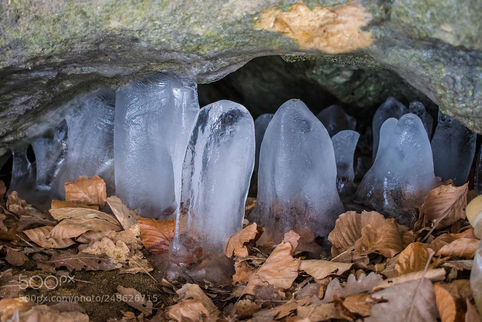 Nikon D5300 sample photo. Ice dwarfs photography
