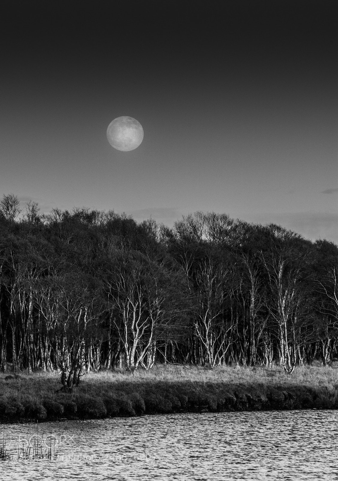 Pentax K10D sample photo. Full moon raising photography