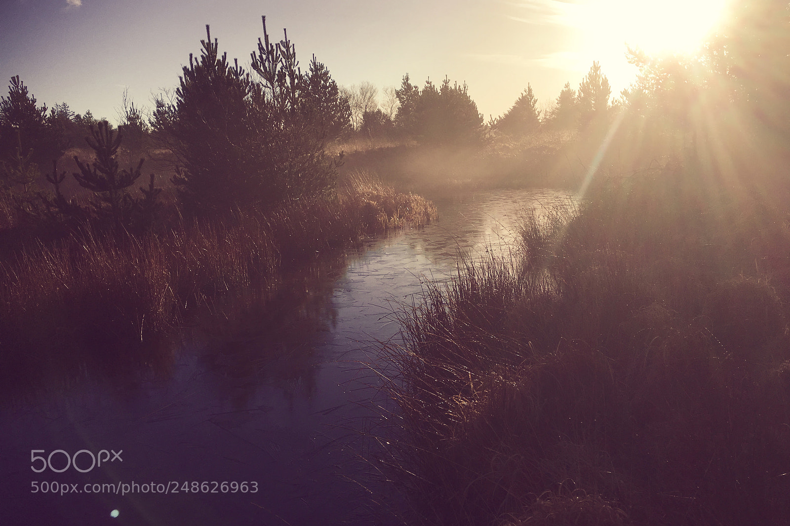 Apple iPhone 6s sample photo. Llyn llech owain photography