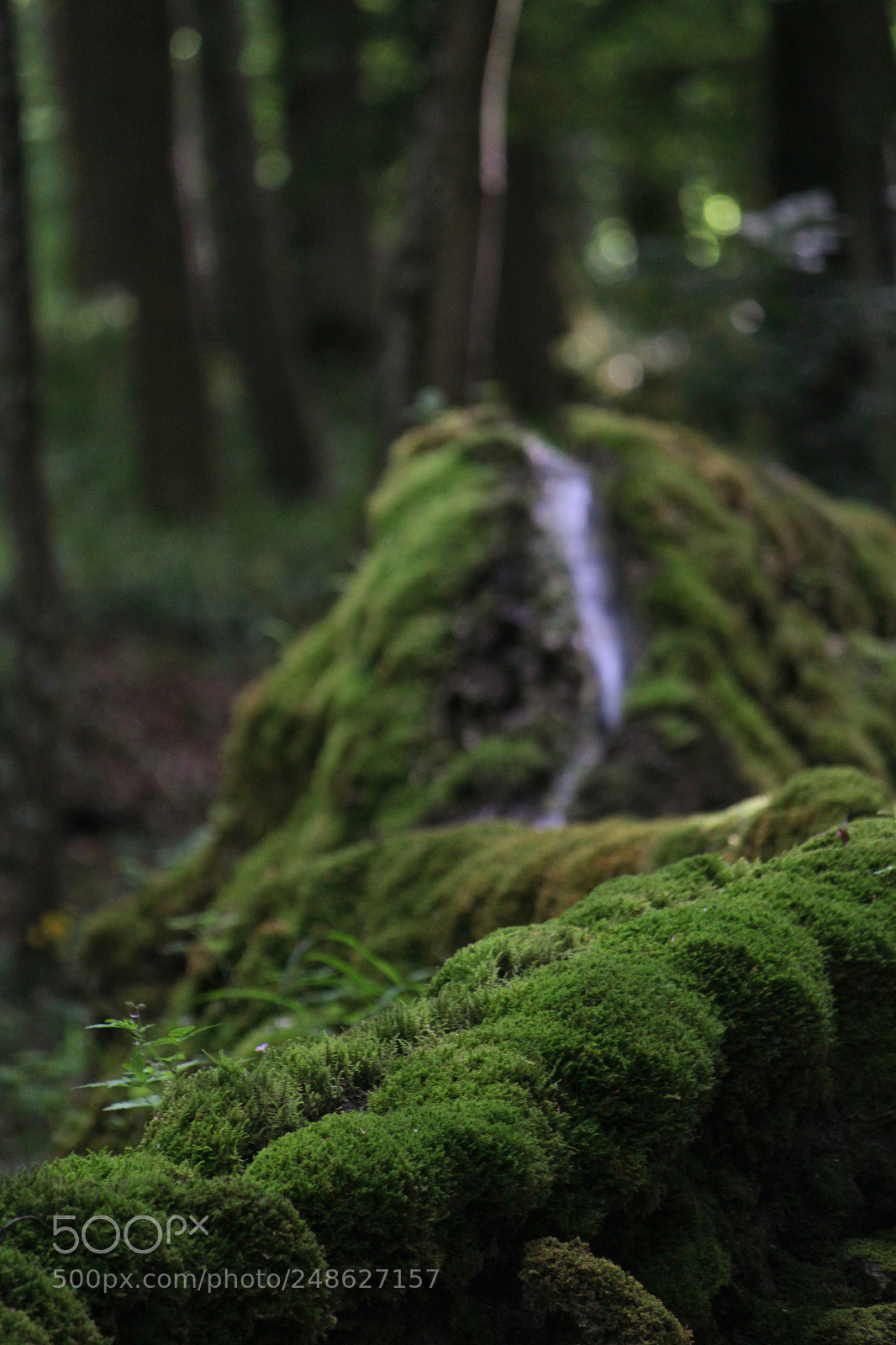 Canon EOS 500D (EOS Rebel T1i / EOS Kiss X3) sample photo. Steinerne rinne photography