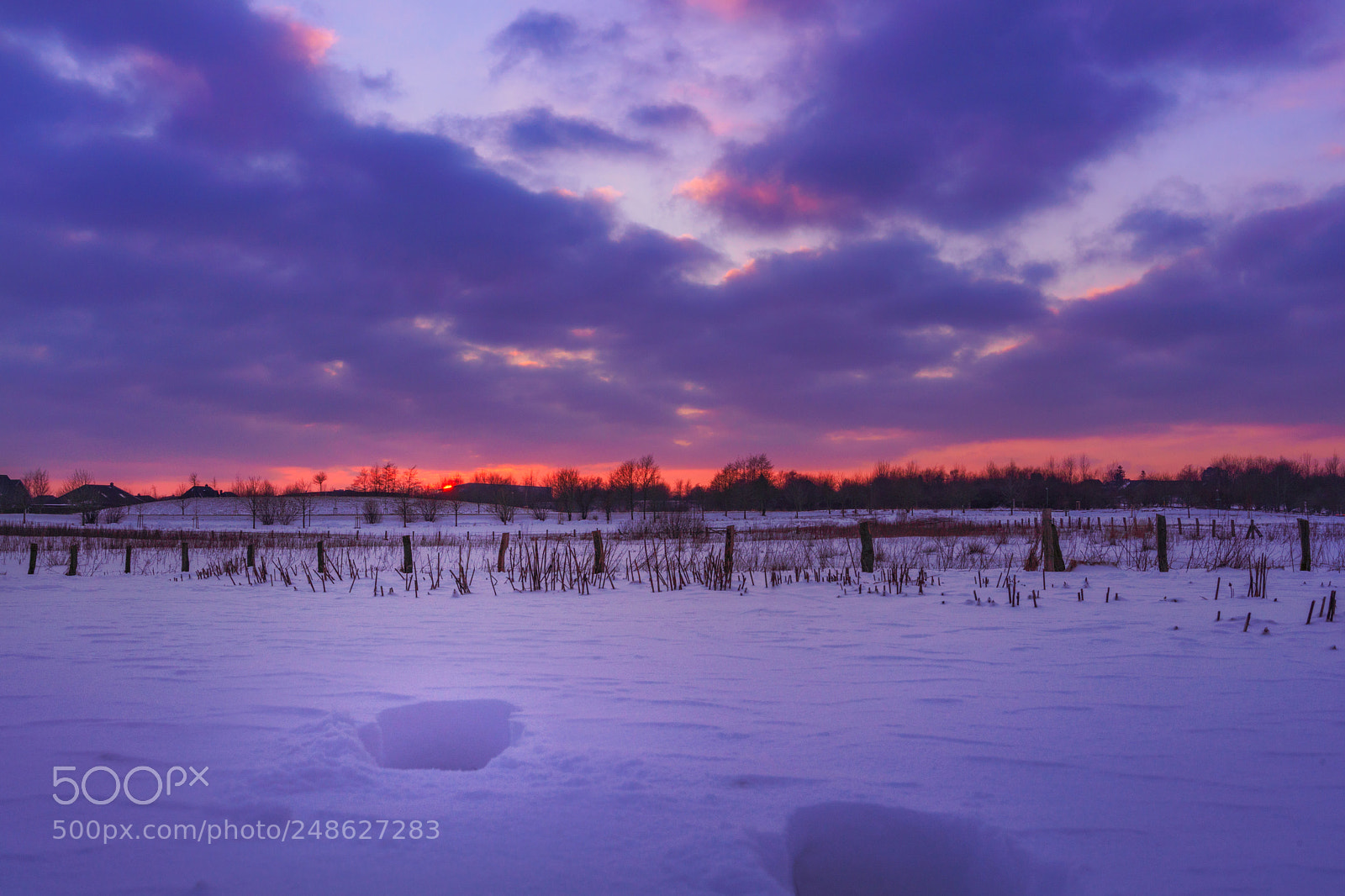 Sony a7R III sample photo. Footsteps in the snow photography