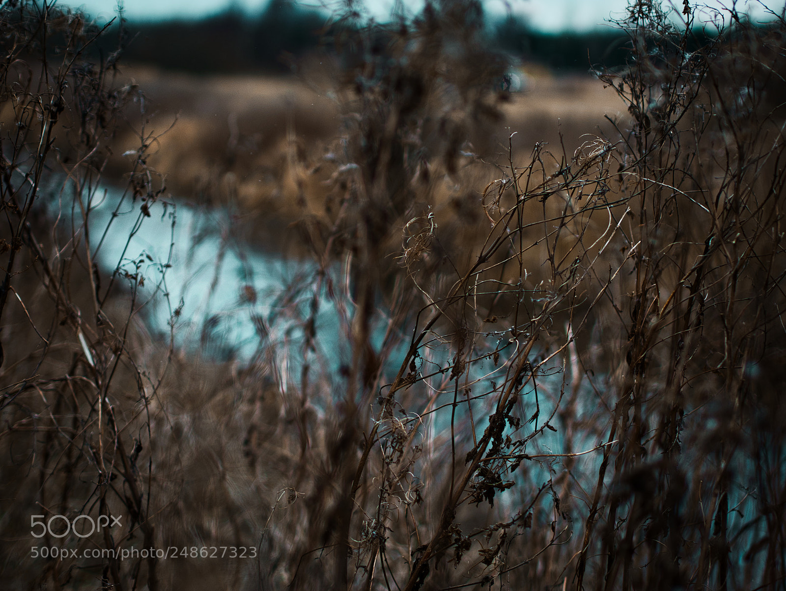 Panasonic Lumix DMC-G85 (Lumix DMC-G80) sample photo. Blue river photography