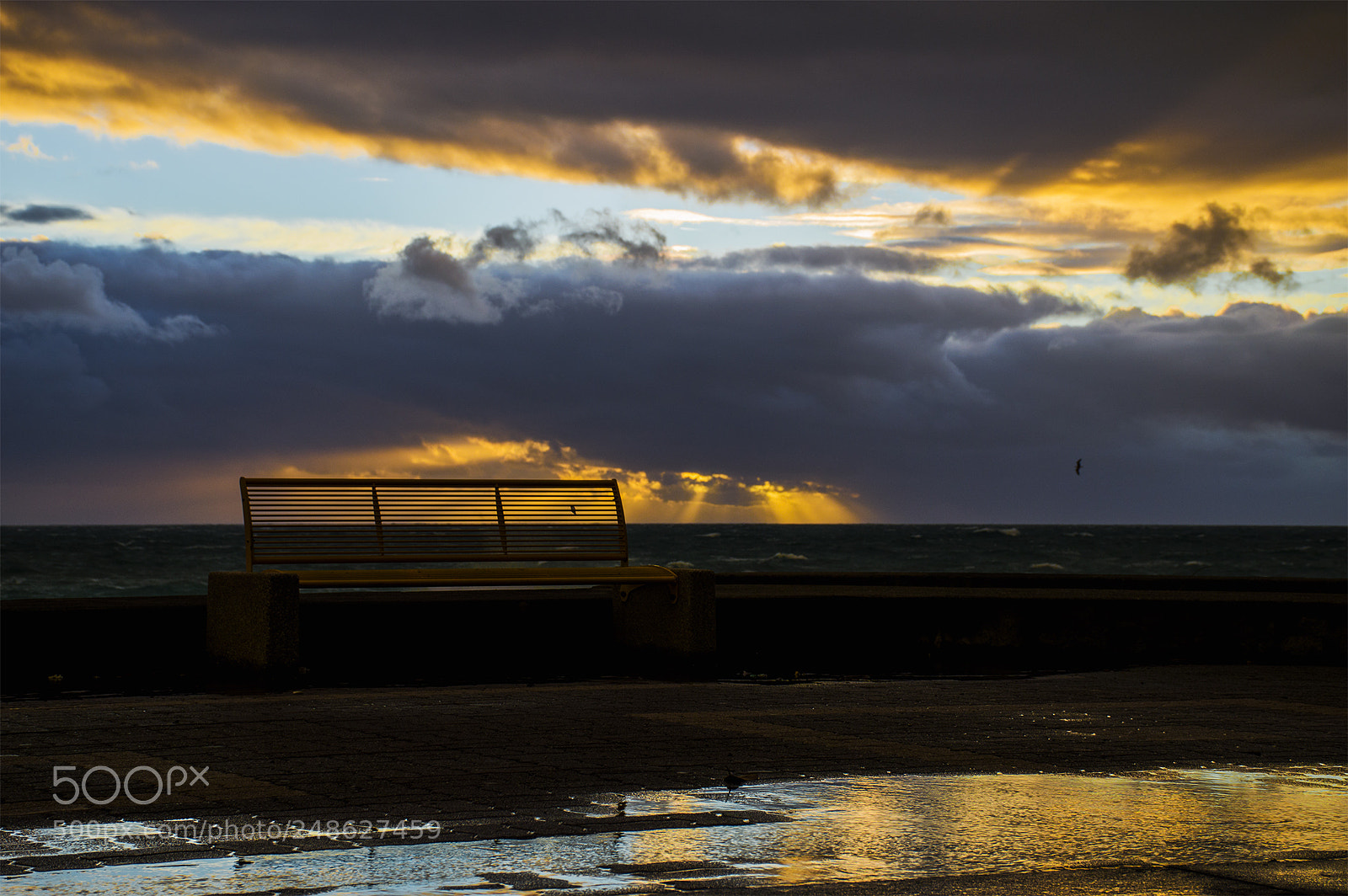 Nikon D3200 sample photo. Cartolina photography