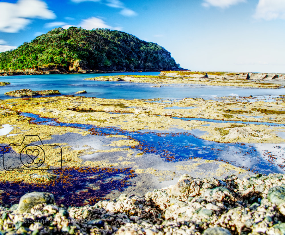 Olympus OM-D E-M10 II sample photo. Goat island photography