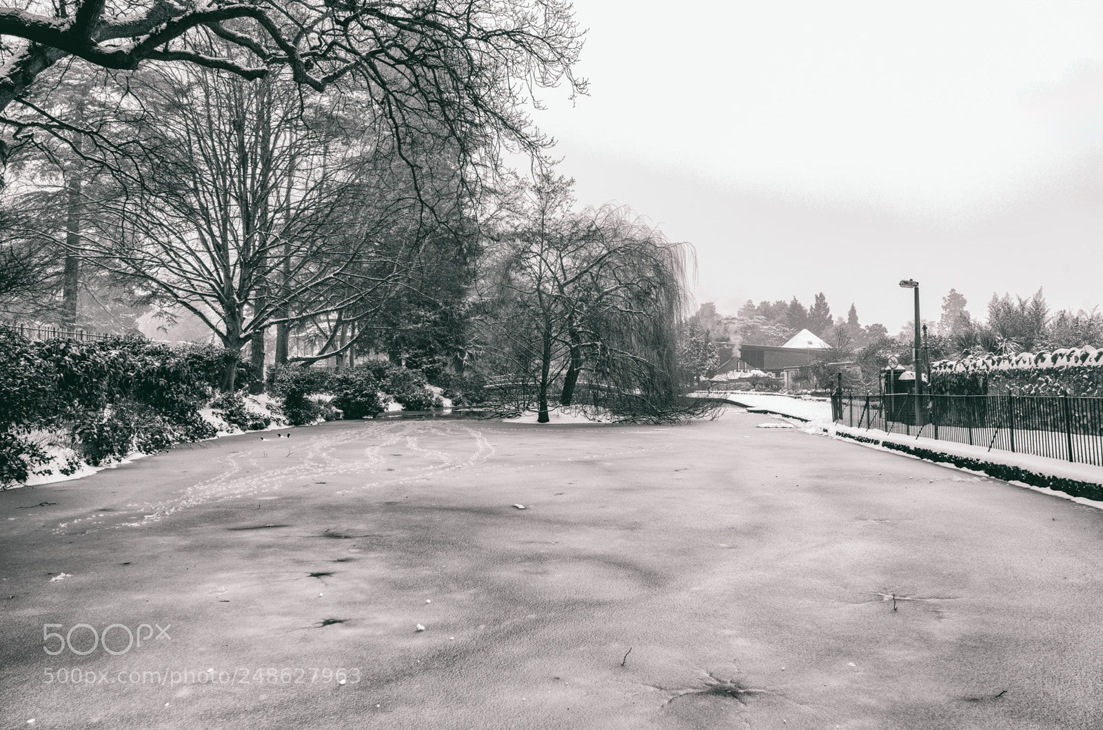 Sony a7R II sample photo. Snow scenes from great photography