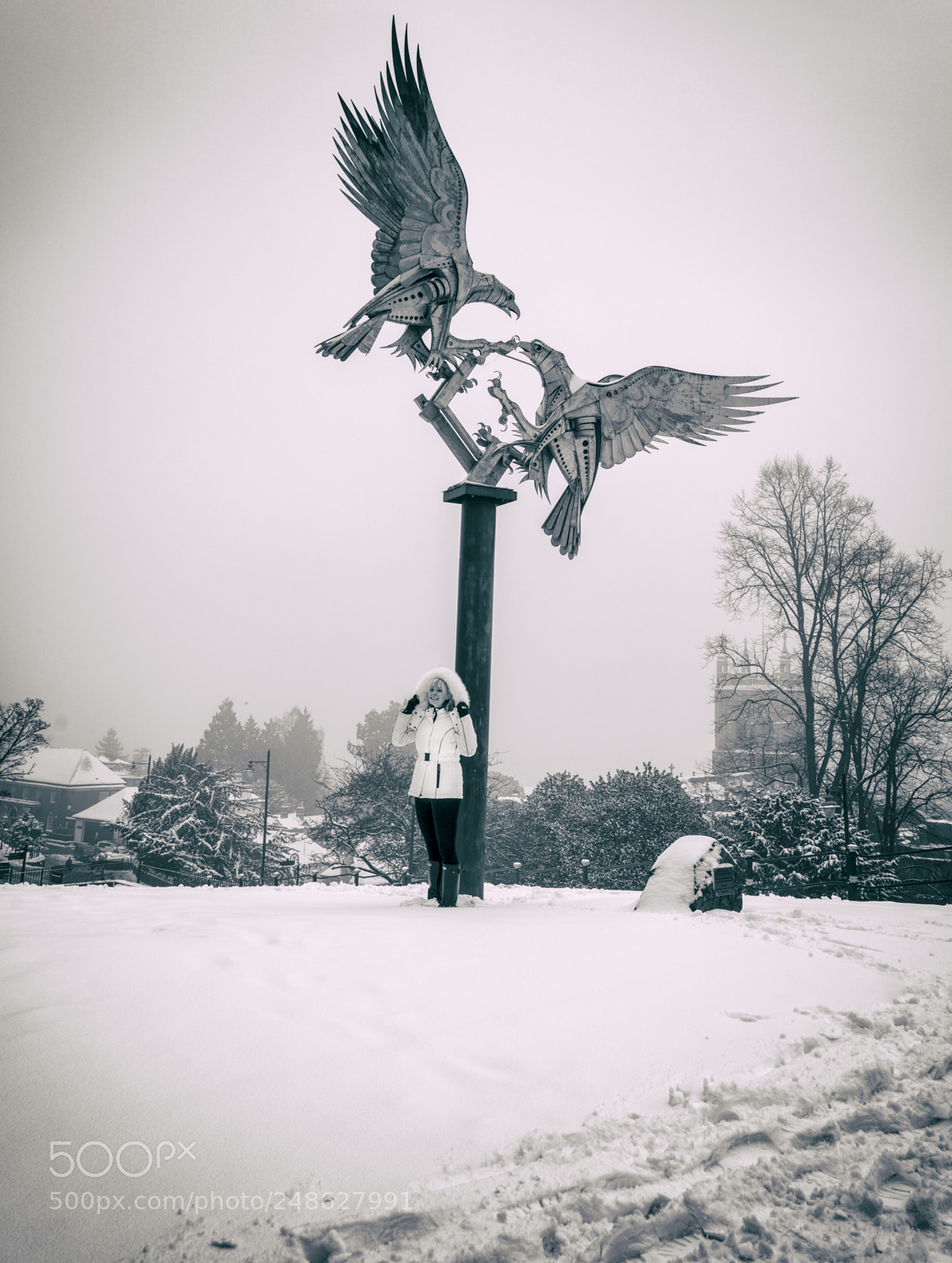 Sony a7R II sample photo. Snow scenes from great photography