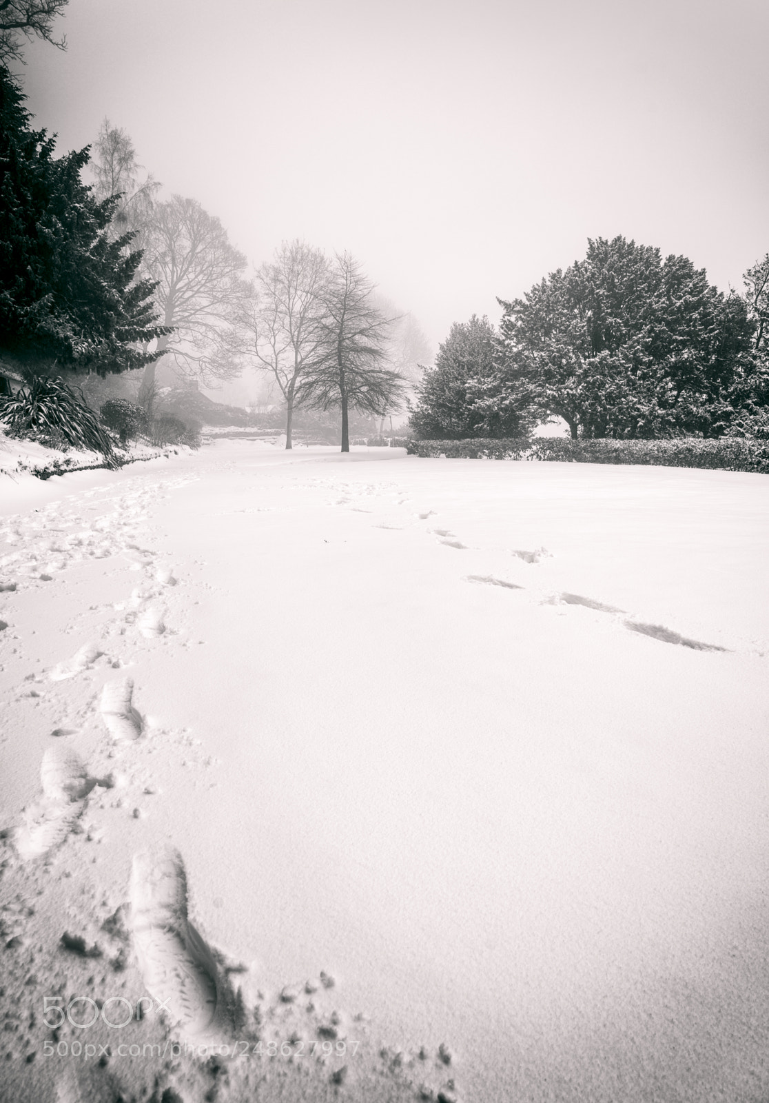 Sony a7R II sample photo. Snow scenes from great photography