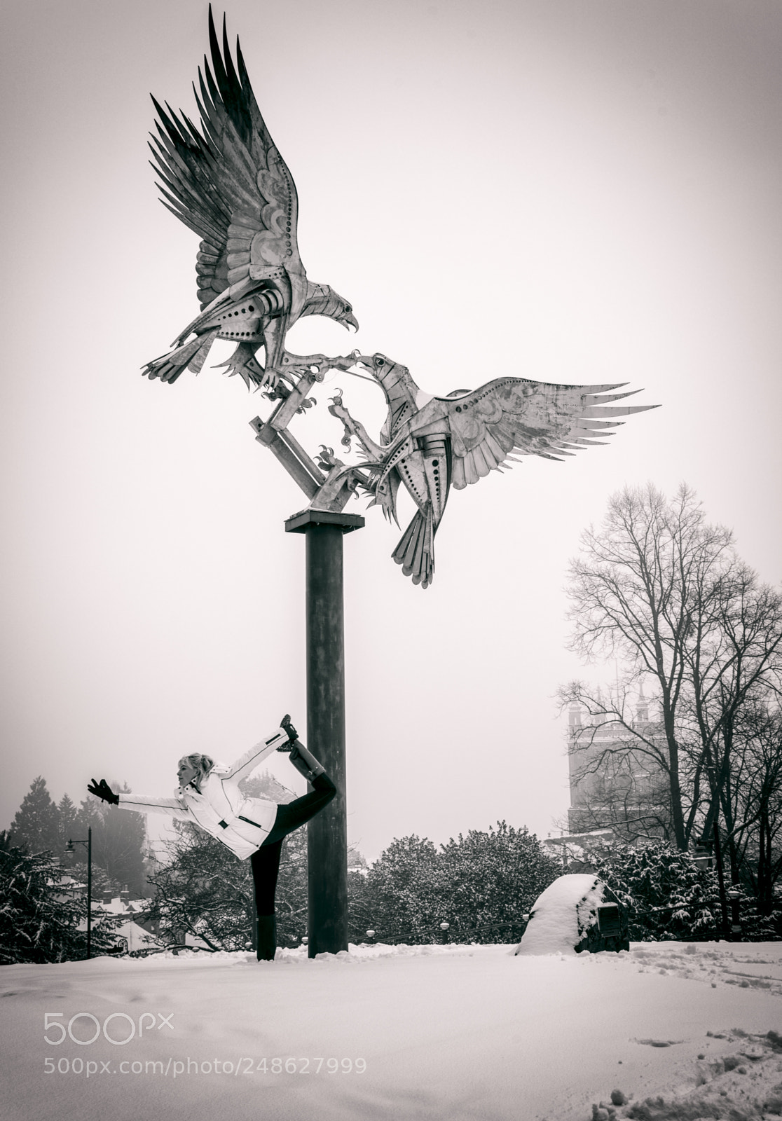 Sony a7R II sample photo. Snow scenes from great photography
