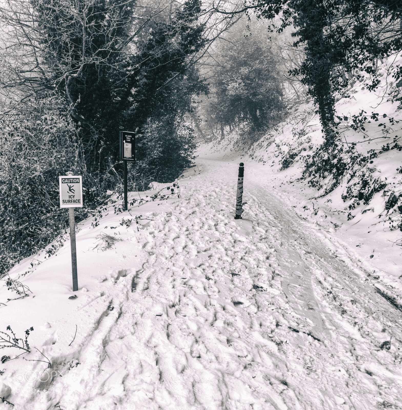 Sony a7R II sample photo. Snow scenes from great photography