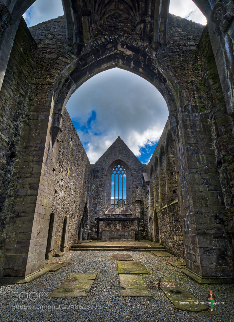 Nikon D7100 sample photo. Sligo abbey photography
