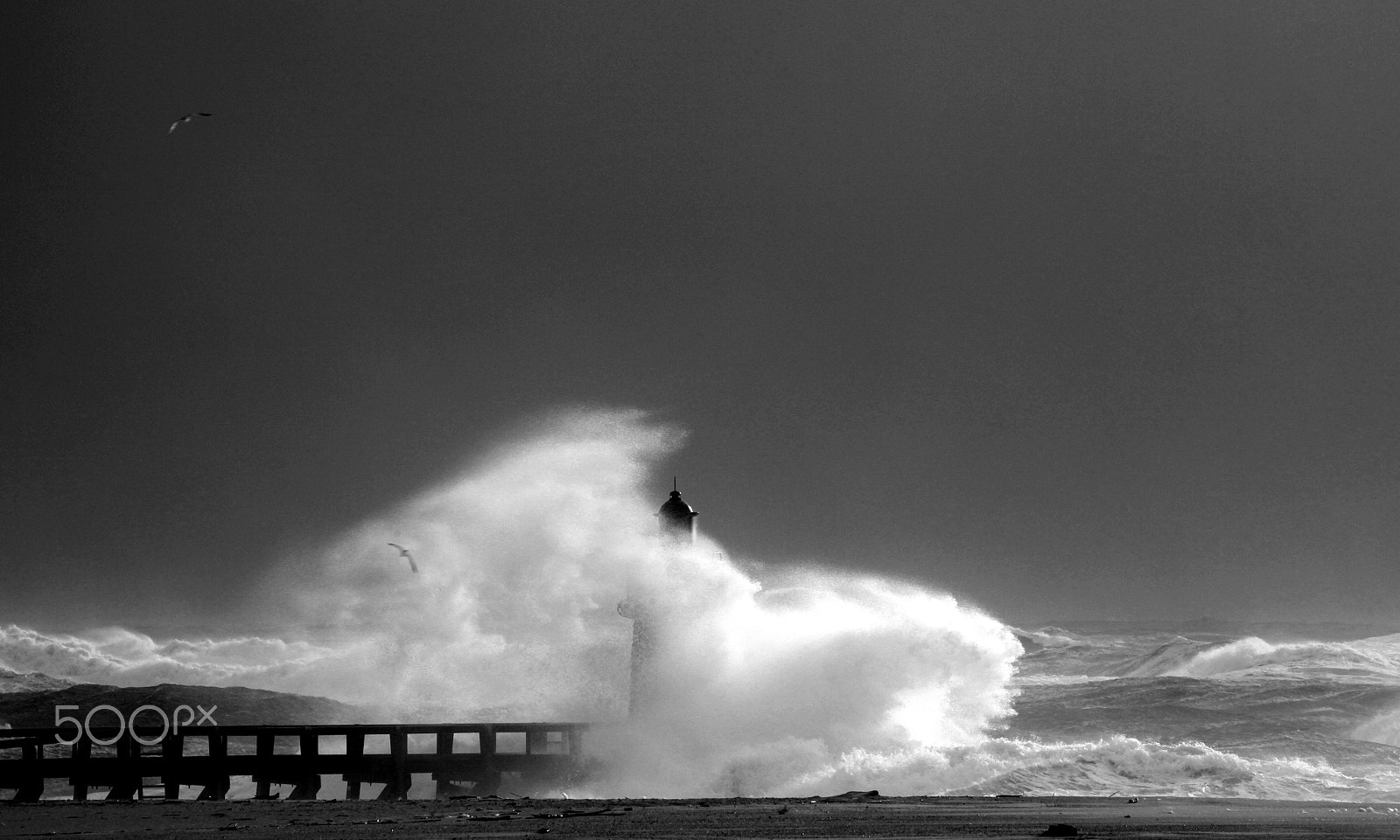 Canon EF 100-400mm F4.5-5.6L IS USM sample photo. Capbreton photography