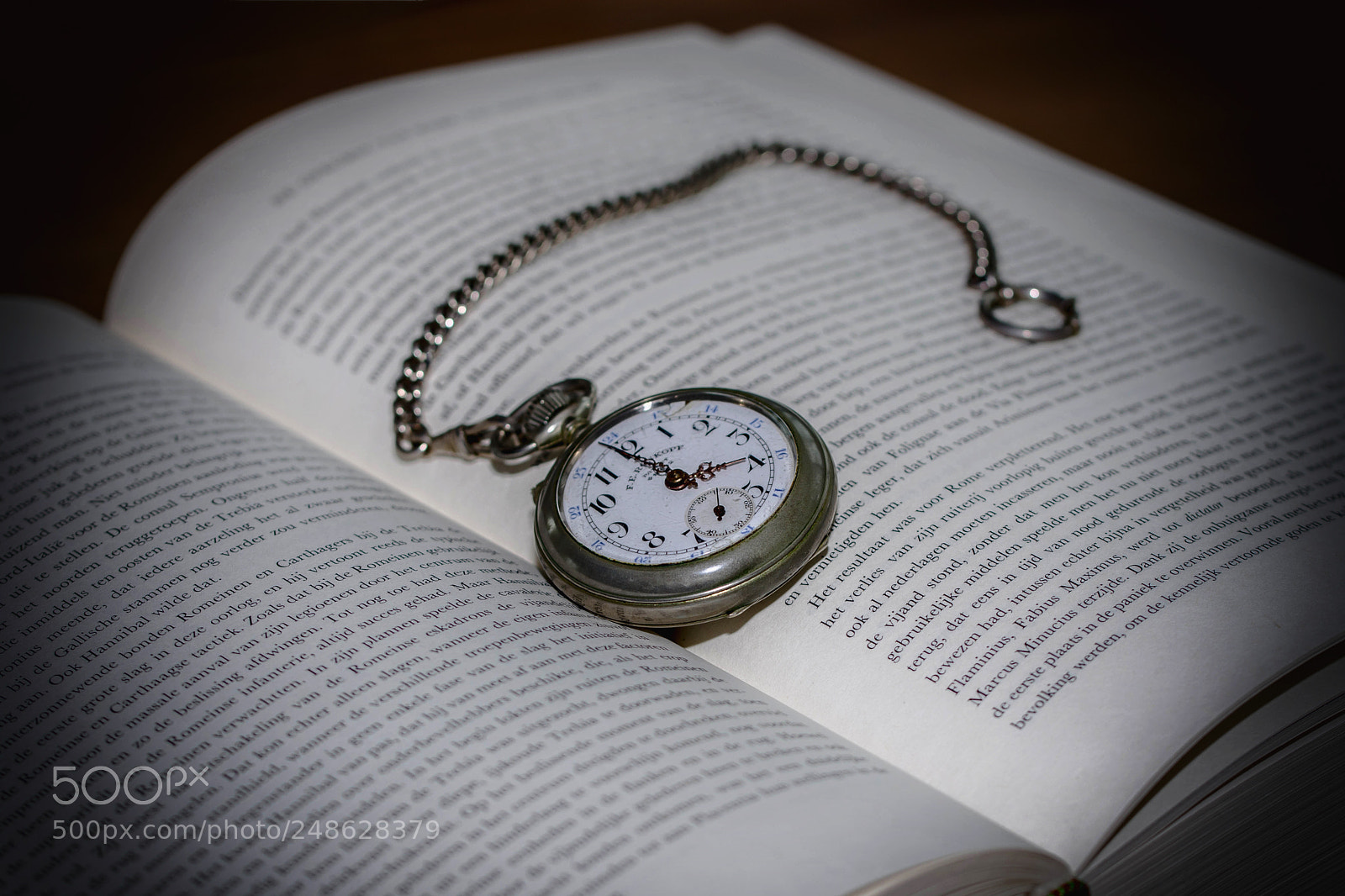 Nikon D7200 sample photo. Pocket watch with chain photography