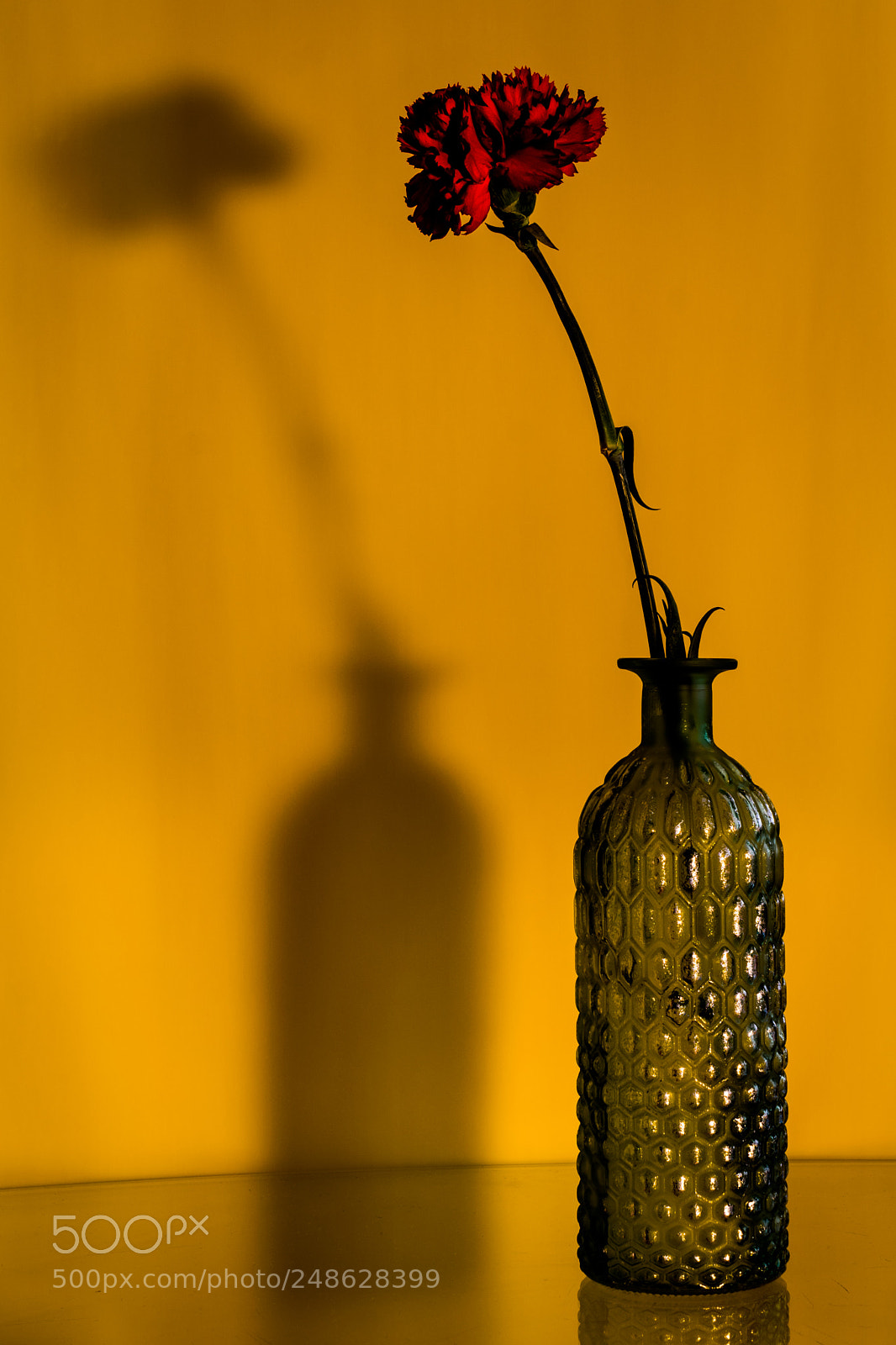 Nikon D5300 sample photo. Flower in a bottle photography