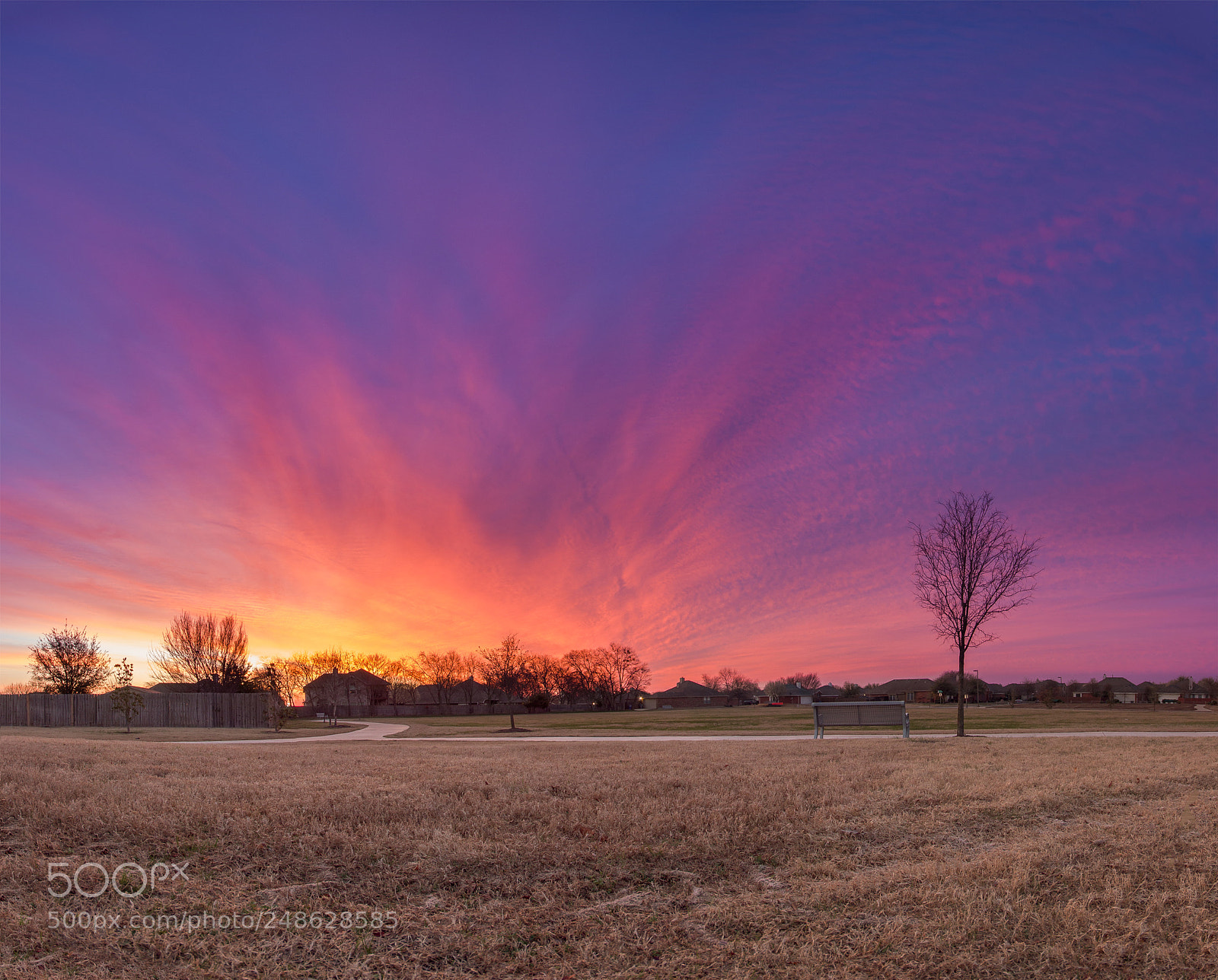 Canon EOS 80D sample photo. This morning's sunrise... photography