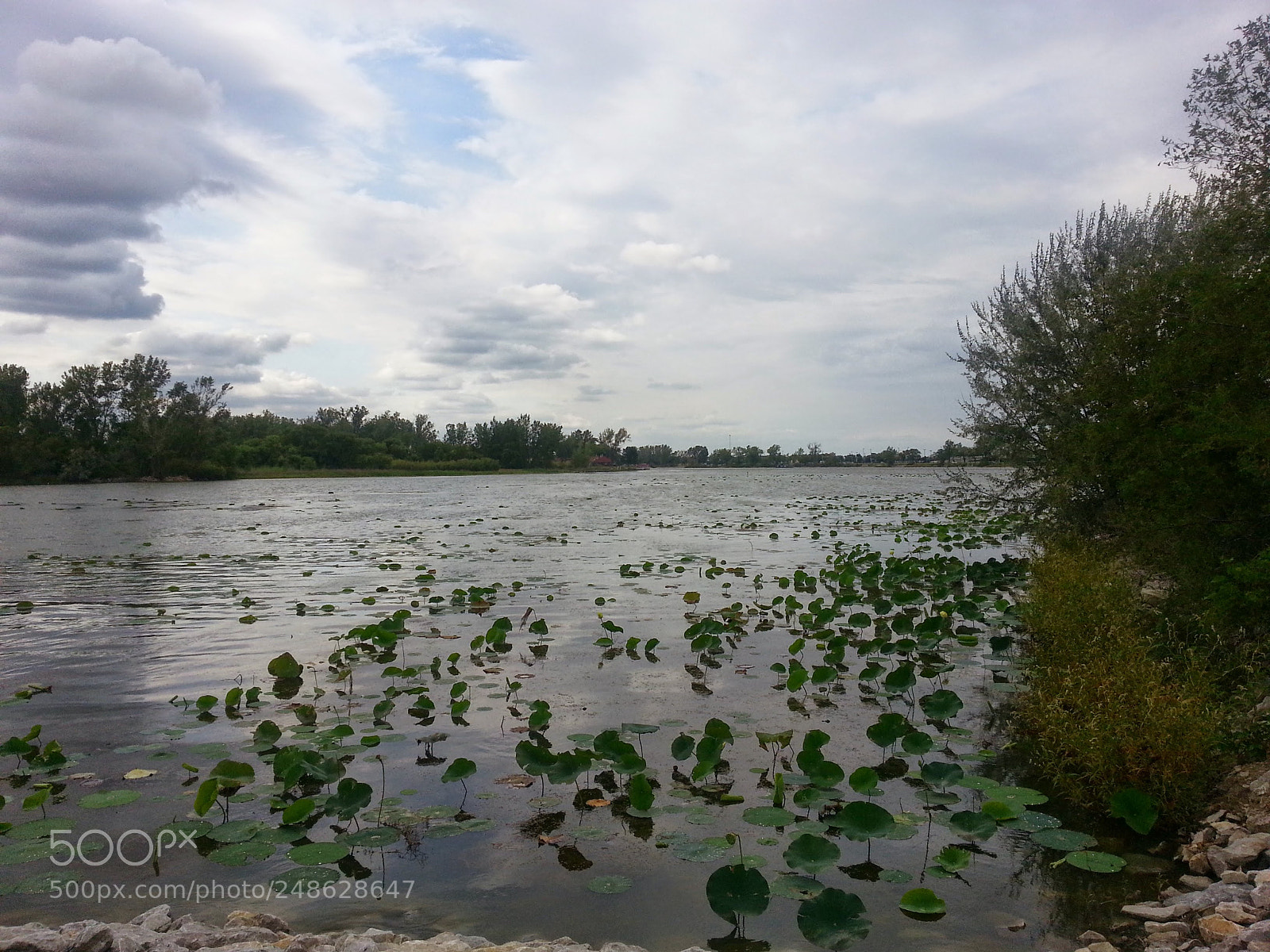 Samsung Galaxy S3 sample photo. Carter lake photography