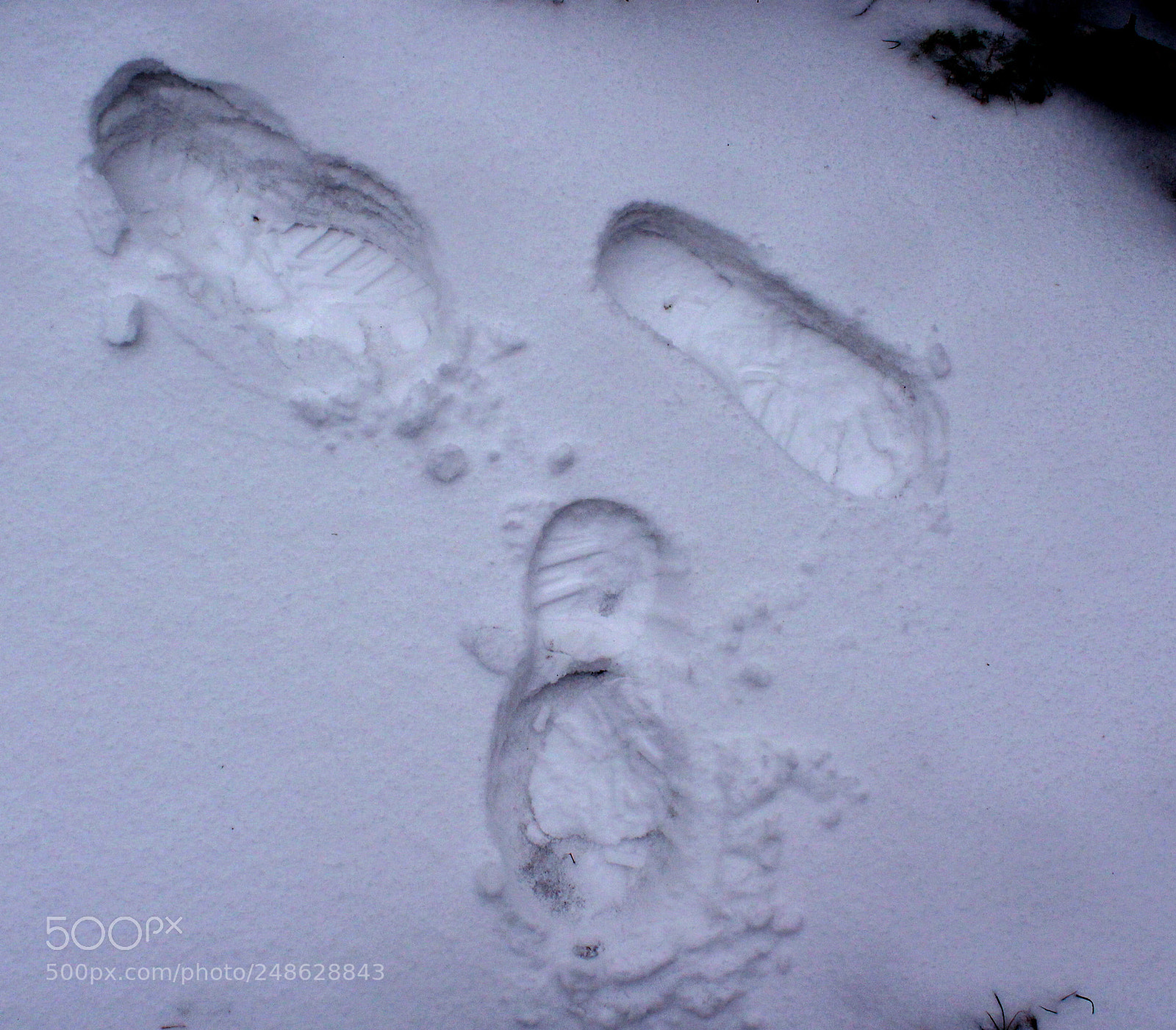 Canon EOS 1300D (EOS Rebel T6 / EOS Kiss X80) sample photo. Foot prints in the photography