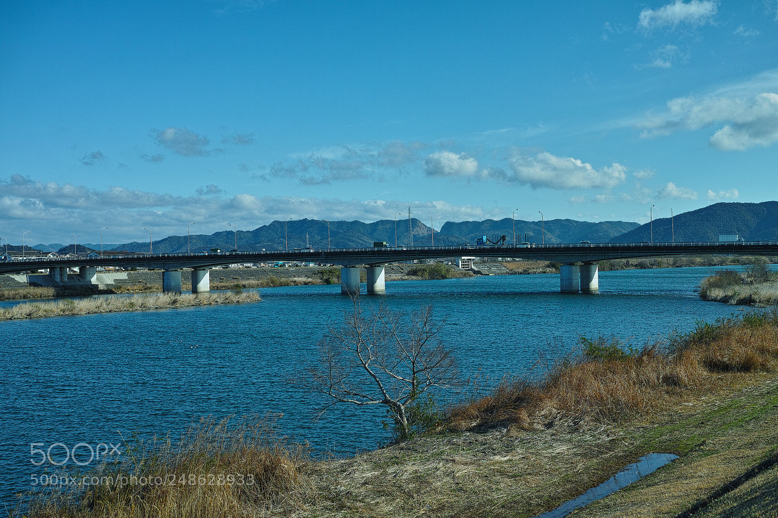 Sigma DP2 Merrill sample photo. Bridge photography