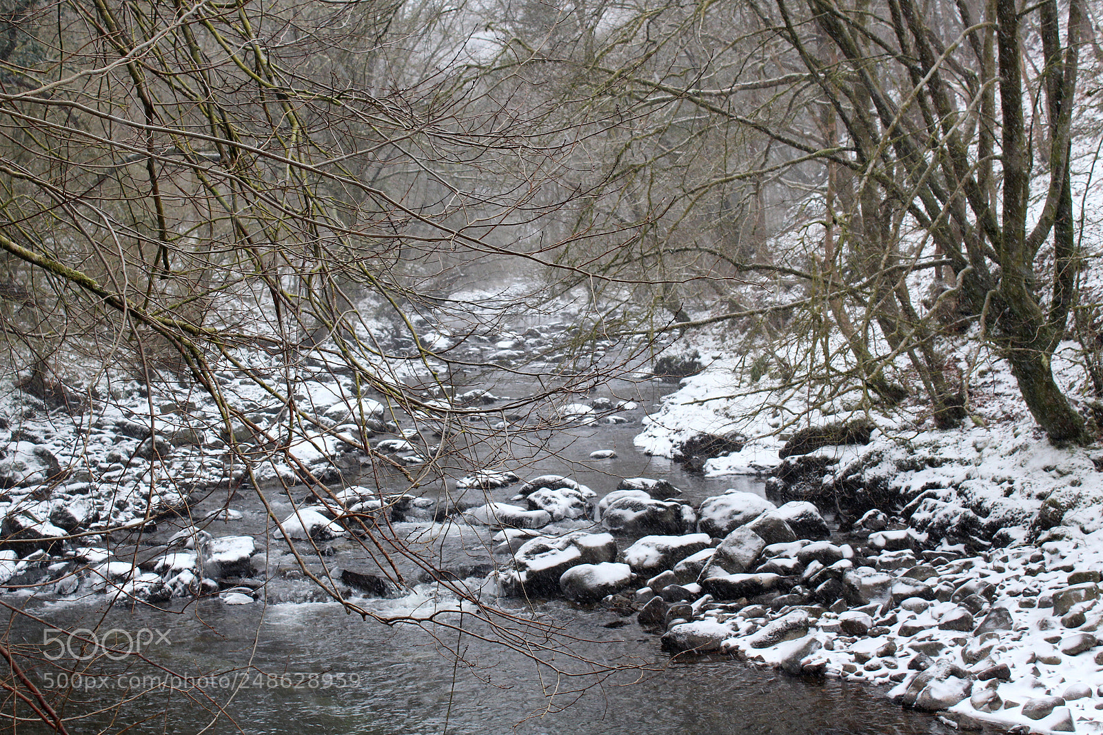 Canon EOS 1300D (EOS Rebel T6 / EOS Kiss X80) sample photo. Snowy river photography