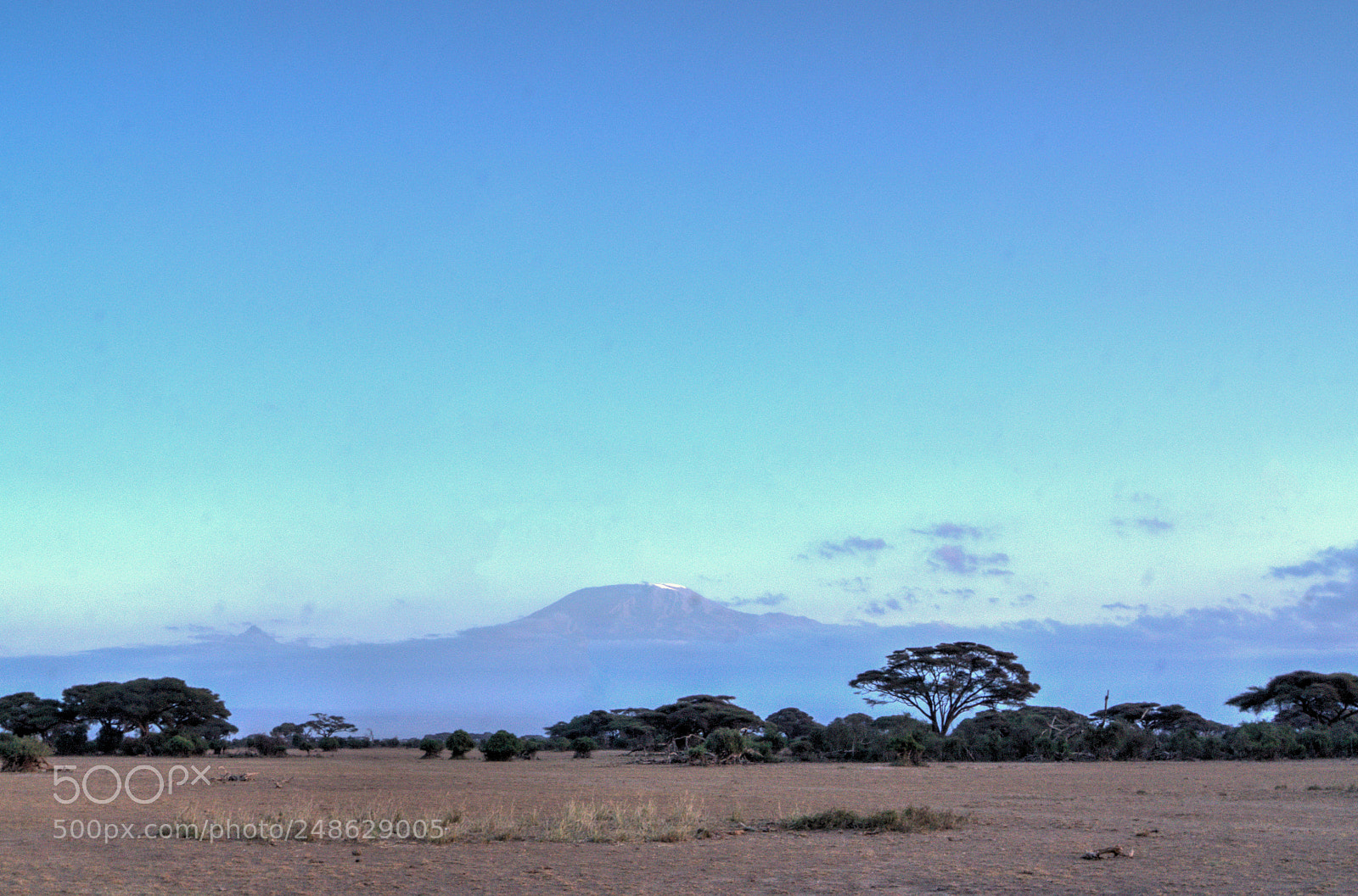 Sony SLT-A65 (SLT-A65V) sample photo. Mount kilimanjaro photography