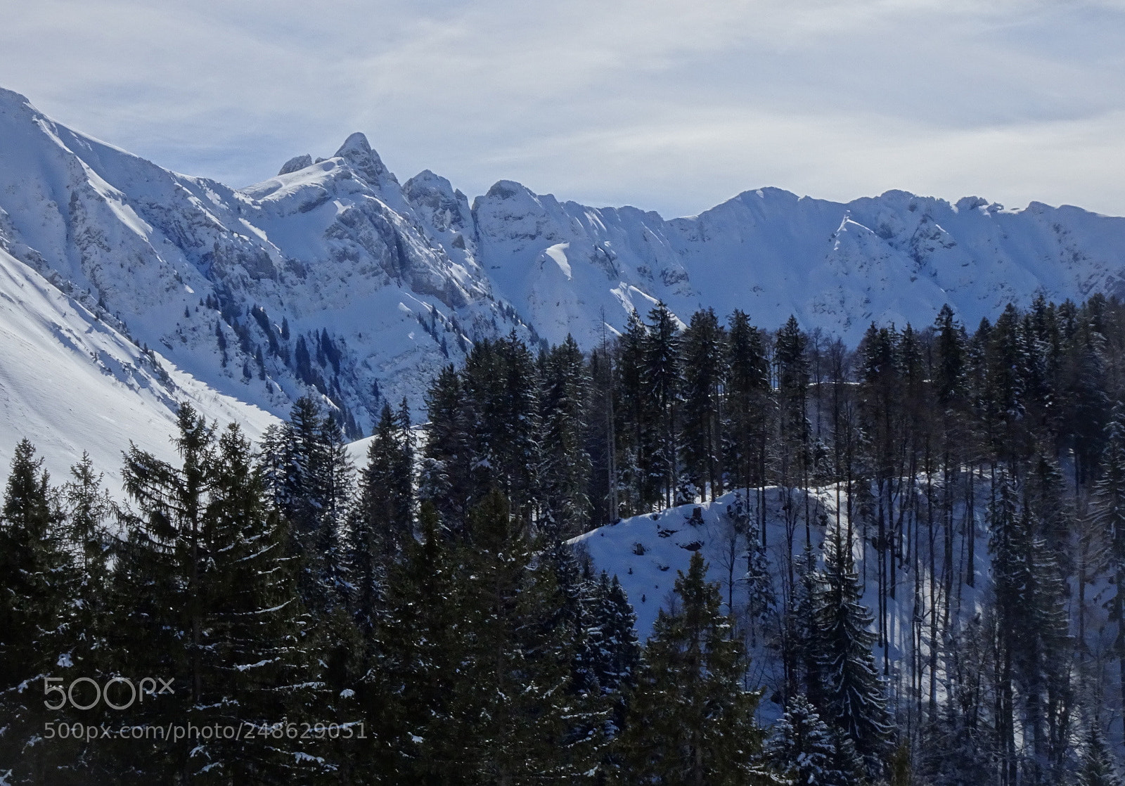 Sony Cyber-shot DSC-HX80 sample photo. "good bye;winter-hello sun" photography