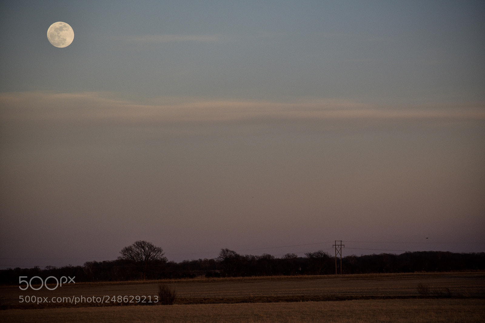 Nikon D3400 sample photo. Super moon photography