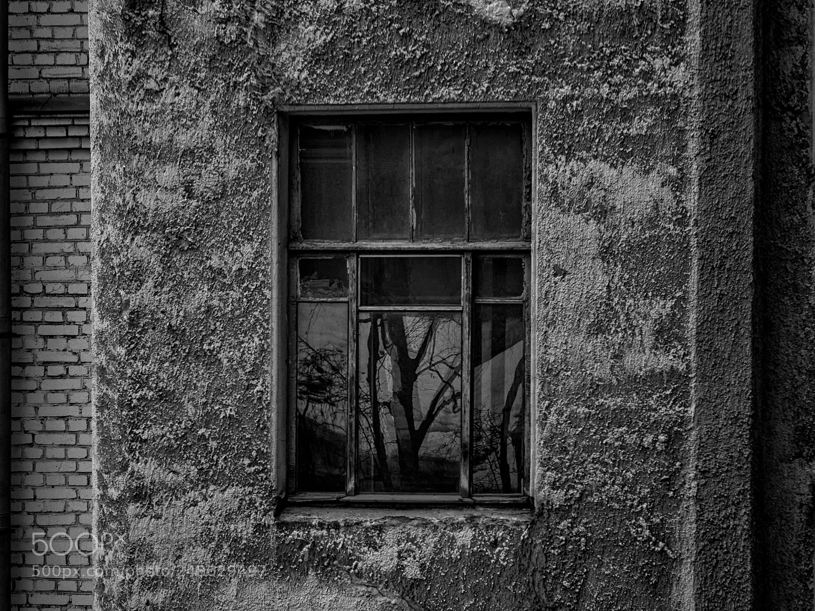 Olympus OM-D E-M1 sample photo. Rear window photography