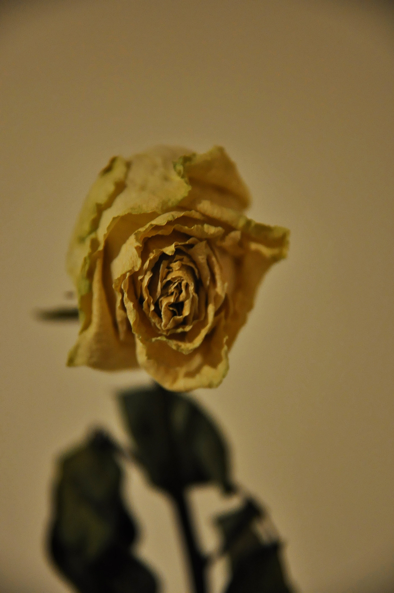 Nikon D90 sample photo